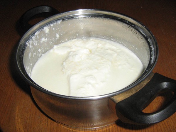 jogurt